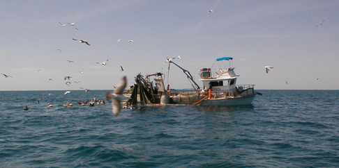purse seiner
